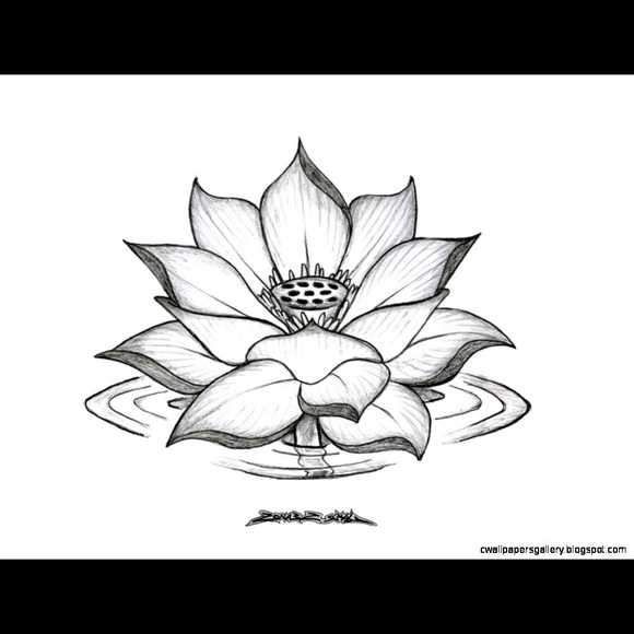 Meet your Posher, Sydney - Picture 1 of 1